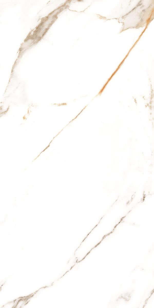 REGAL WHITE F4